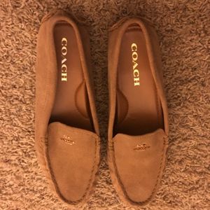 tan loafers